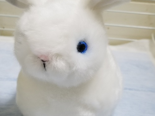20190820_205504.jpg