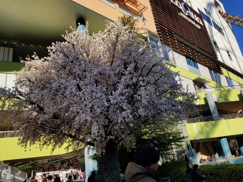 20191229_142942.jpg