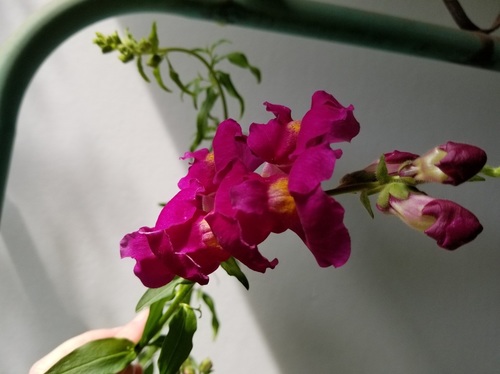 20200501_092233.jpg