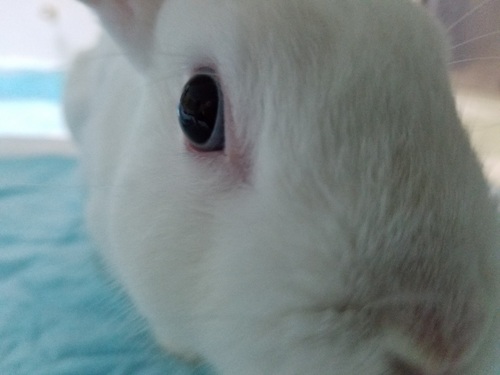 20201005_214941.jpg